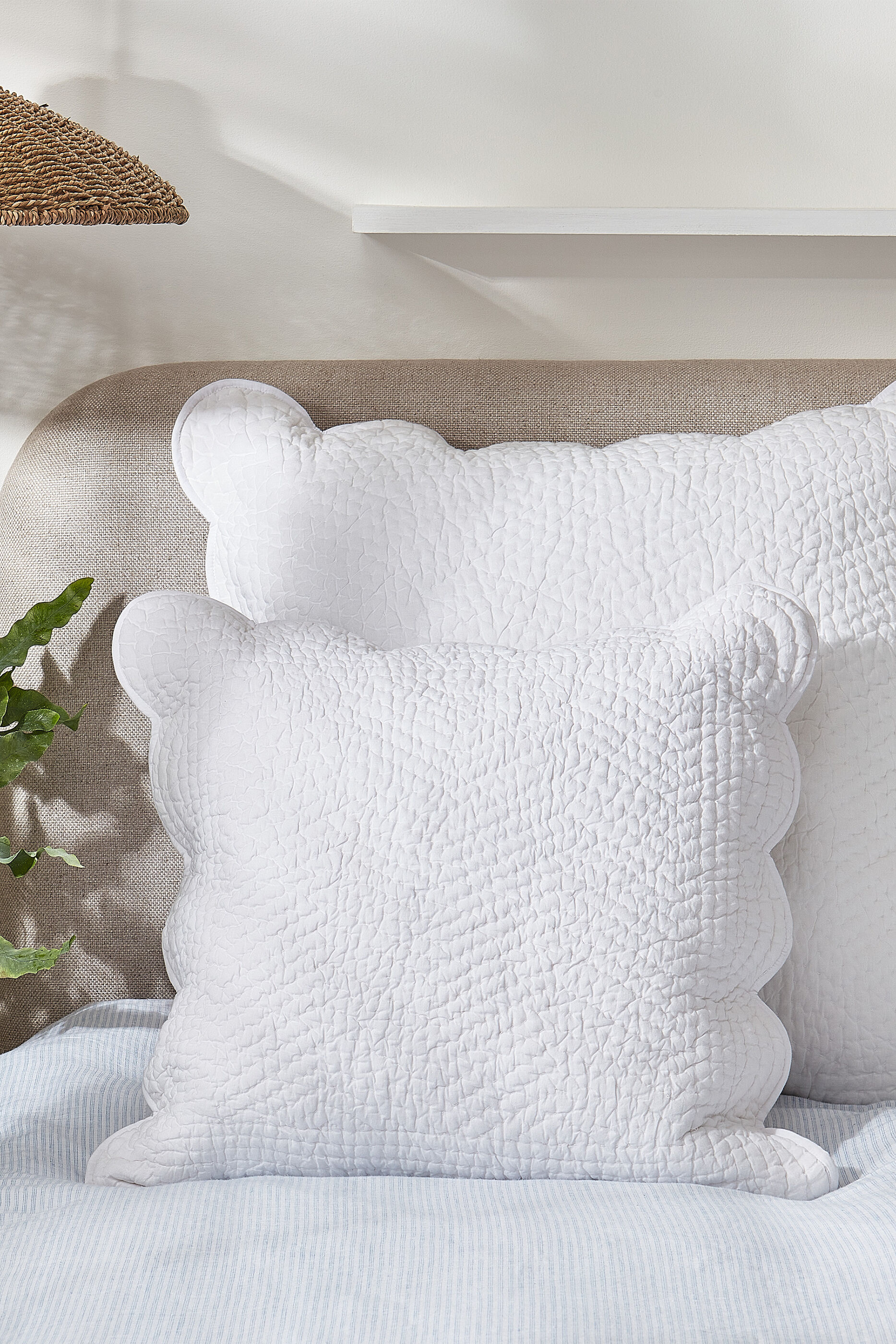 White clearance company pillows